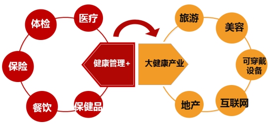 2026大健康行业市场发展规模与未来趋势分析(图1)