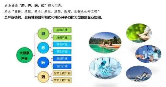 《实施就业优先战略“十五五”规划》审议通过——持续用力推动就业扩容提质(图1)
