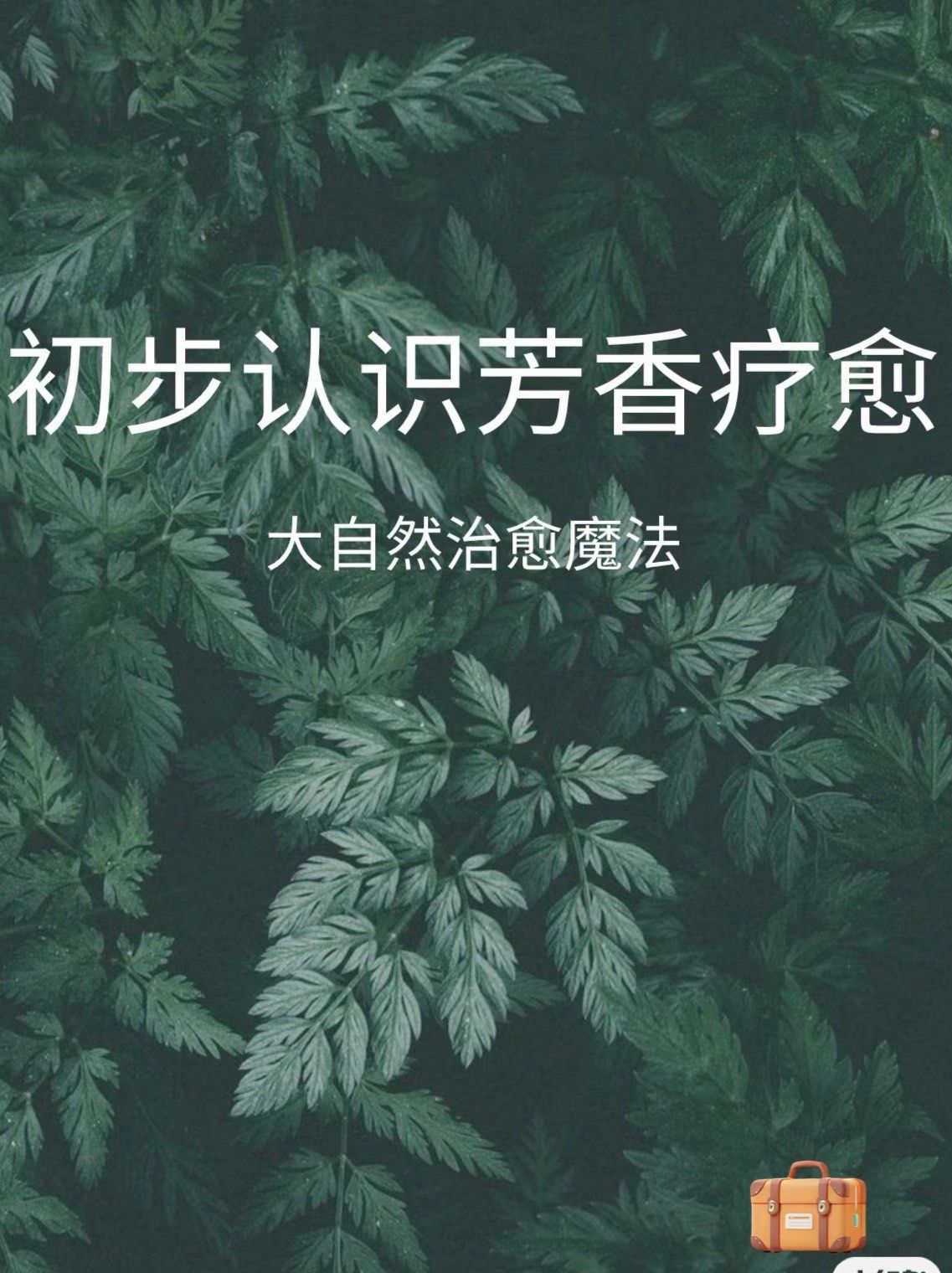 浠汩空间:以抚触疗愈为核心打造心身疗愈人才培养与事业赋能平台(图1)